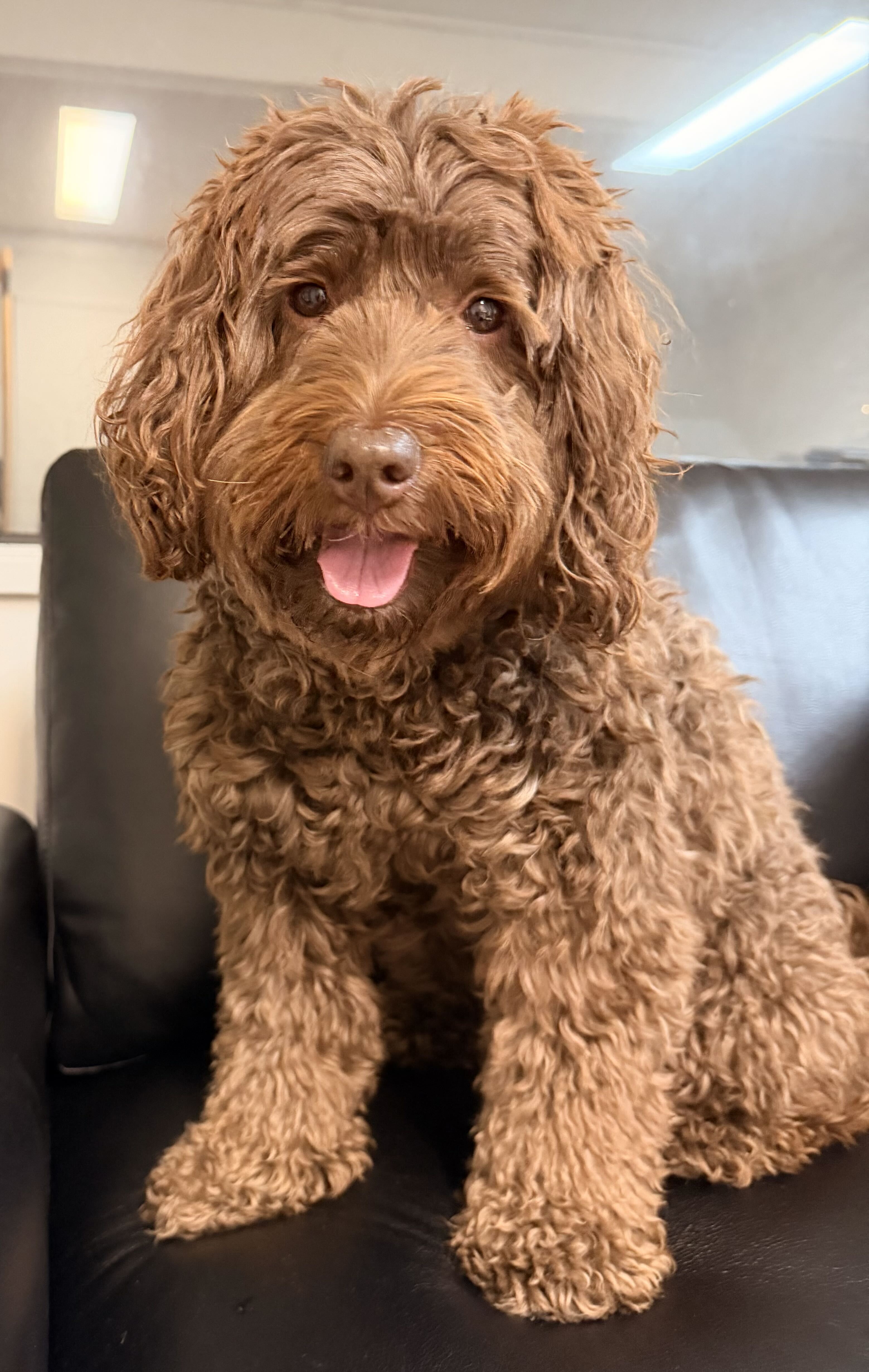 Coco